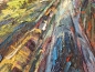 Preview: Berlin. Prenzlauer Allee